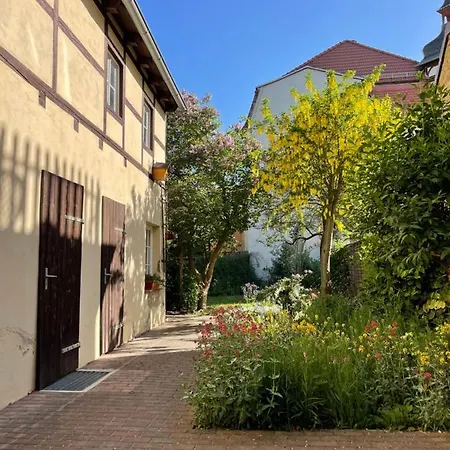 Wunderlich * Naumburg (Saale)